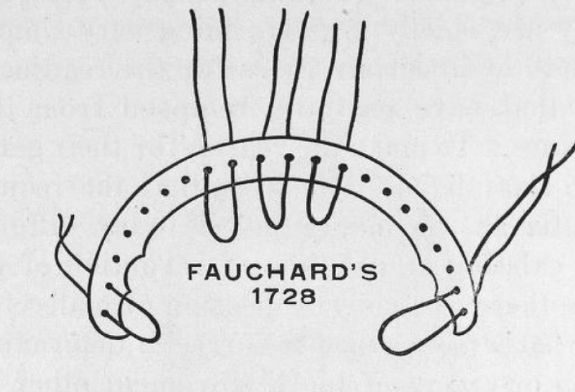 Pierre Fauchard fogszabályzó